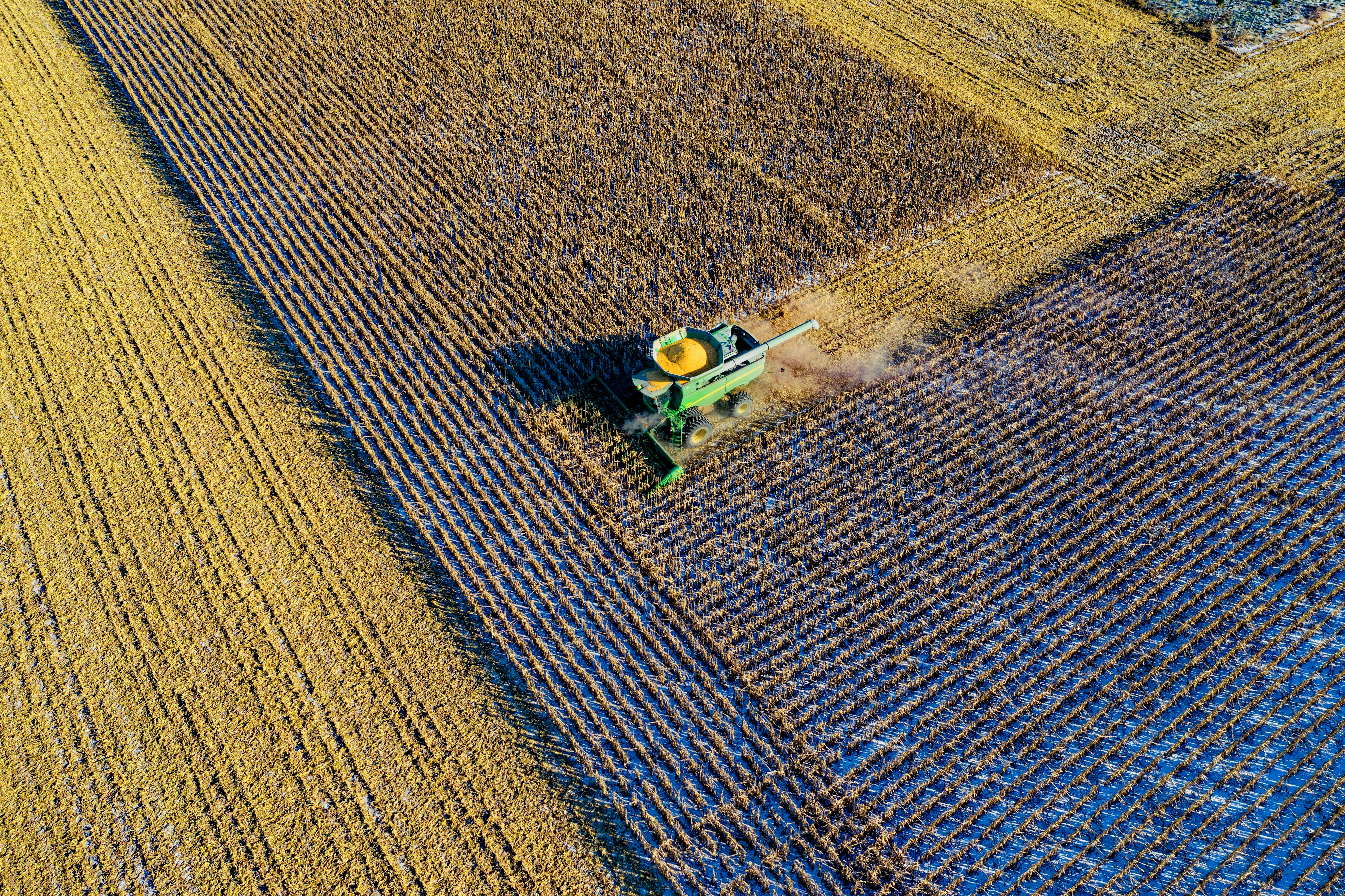 Traktor auf Feldweg